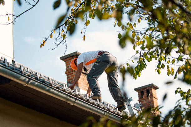 Best Asphalt Shingle Roofing  in Ansonia, OH
