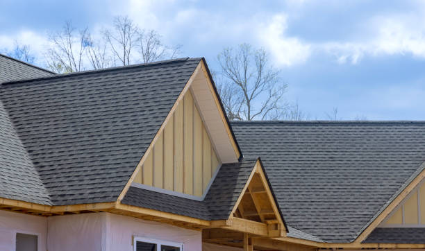 Best Roof Moss and Algae Removal  in Ansonia, OH